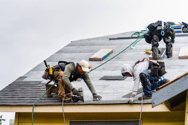 Professional Storm Damage Roof Repair technician working in Wilson, WY